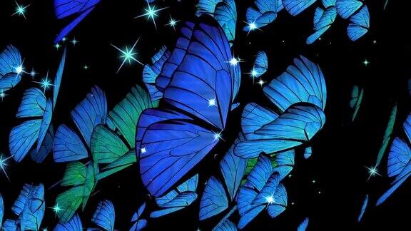 夜间飞行的一群蝴蝶