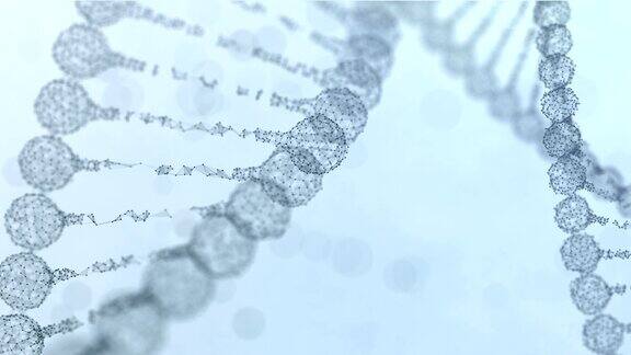 两个旋转丛DNA链-浅蓝色版本