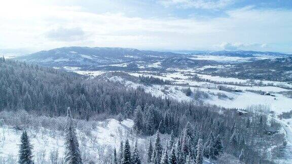 鸟瞰图穿越积雪覆盖的森林在冬天的一天