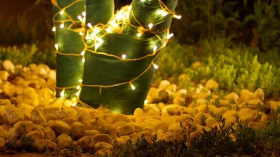用LED灯装饰的夜树