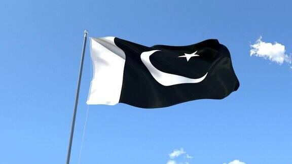 迎风飘扬的巴基斯坦国旗