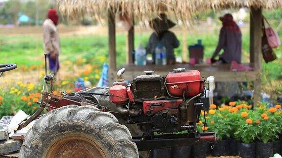 农民在田间用拖拉机(农业农业)