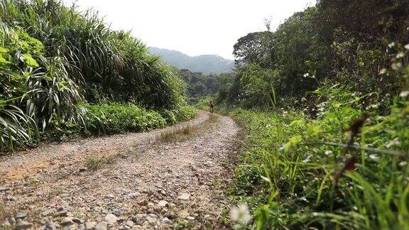 在阳光明媚的日子里一名女子骑着山地车在岩石小道上骑行慢镜头