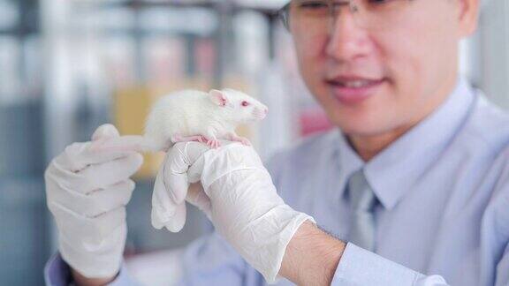 在生命科学实验室工作的卫生保健研究人员医学研究科学家检验实验室的小白鼠
