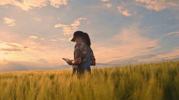 年轻的少女拿着数码平板电脑在阳光明媚的乡村绿色麦田里慢镜头