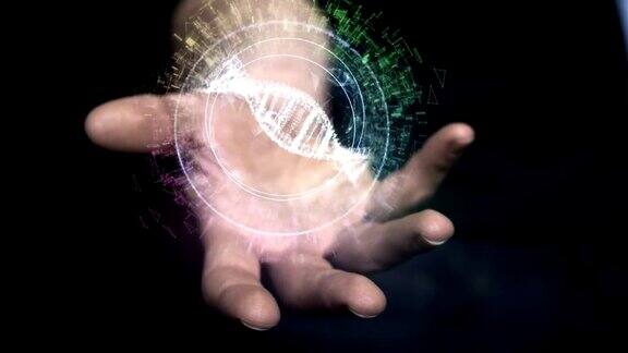 数字螺旋在手DNA设计