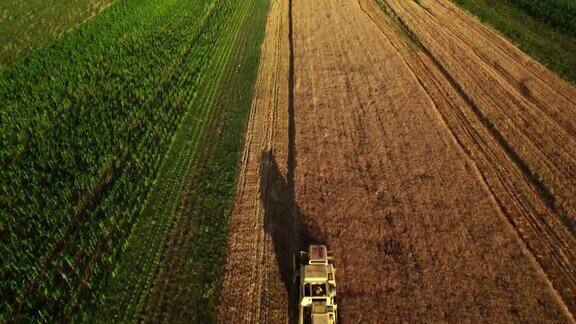 联合收割机在农田上收割小麦