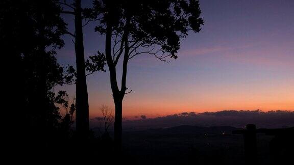 随着日出和黎明剪影树木和美丽的景色