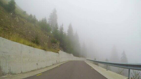 从汽车行驶在雾蒙蒙的松林中看到的蜿蜒的山路