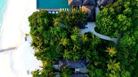 马尔代夫蓝天蓝绿色的海白色的沙子和绿色的棕榈树