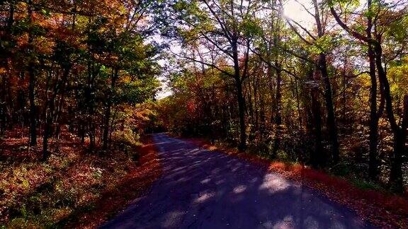 无人机低空视频在树叶茂盛的秋天沿着乡间小路穿过森林科勒宾夕法尼亚州美国