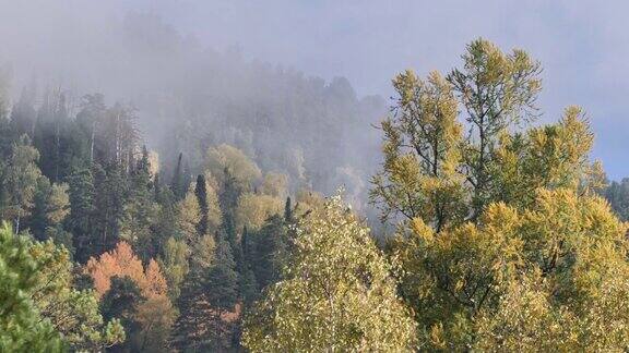 山林晨雾阿尔泰自然保护区