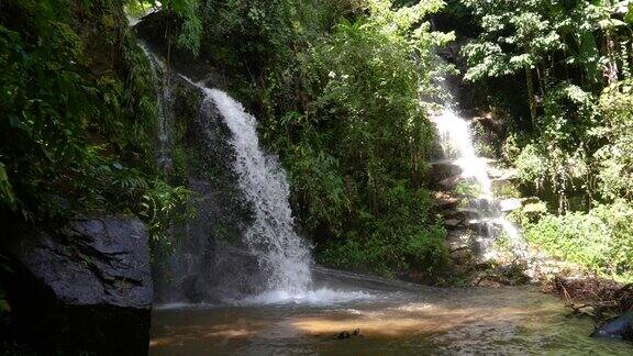 绿色森林中的瀑布和自然中清新的小溪