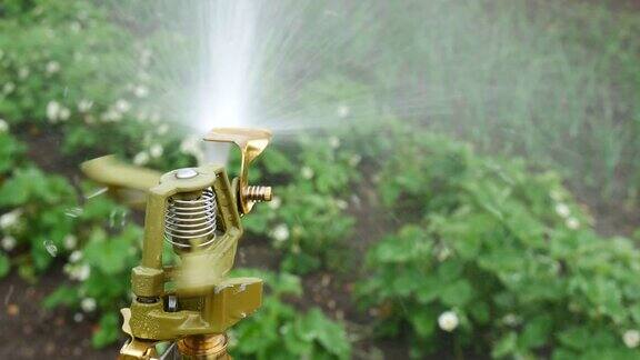 花园里的自动洒水器