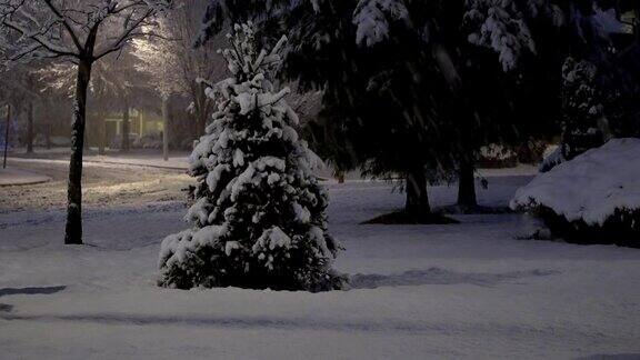 雨雪落在汽车玻璃上汽车的挡风玻璃上白雪覆盖的树林