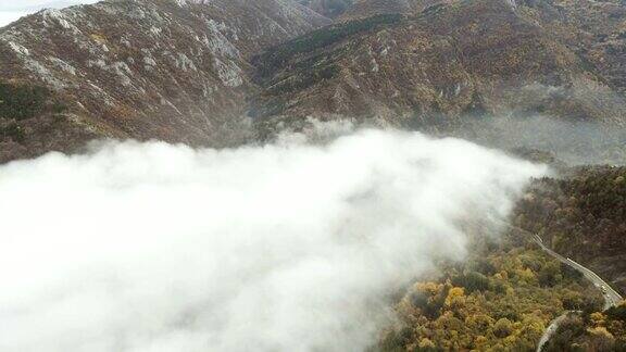 飞过浓雾弥漫的山路