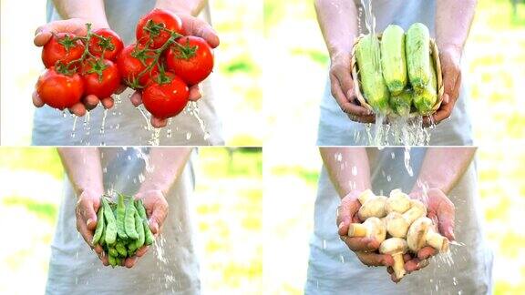 农民收获水果和蔬菜四个不同的视频拼贴缓慢的运动