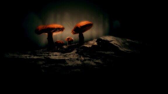 神秘森林神奇蘑菇场景
