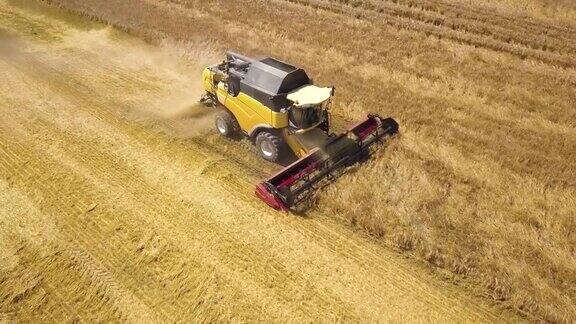 联合收割机收获大面积成熟麦田的鸟瞰图无人机视角下的农业