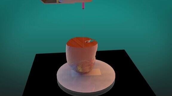 3D打印人类肾脏4K超高清的