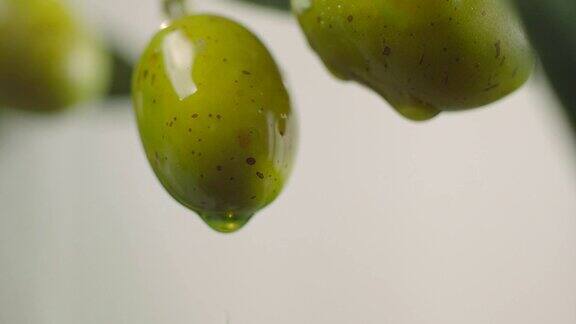 滴在生绿橄榄上的橄榄油