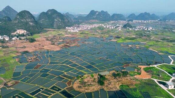 鸟瞰中国桂林的稻田景观