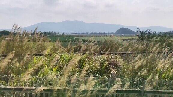 高铁车窗外动人的风景