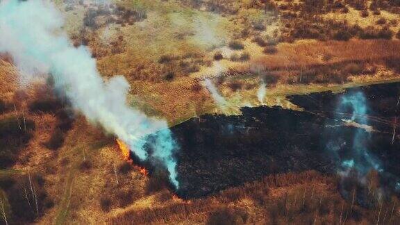 野火烧毁草地4K鸟瞰图干旱炎热天气下春天的干草被烧毁丛林大火与烟雾消防车消防车在灭火生态问题空气污染