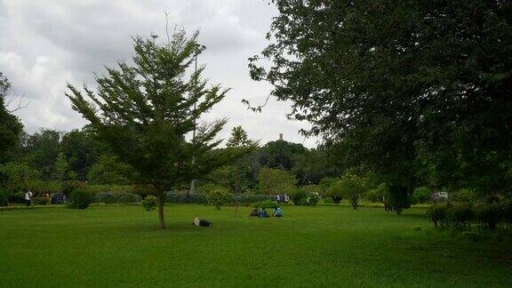 白天时间班加罗尔城市著名的中央公园草地全景4k印度