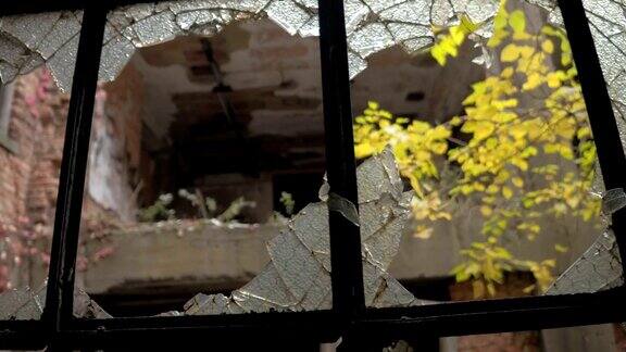 望着破败的鬼城中废弃建筑的破窗