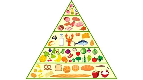 食物金字塔营养动画在一个白色的背景