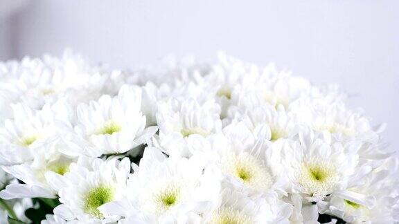 特写俯视低垂花束旋转花卉组成由白色菊花组成的洋甘菊百加地
