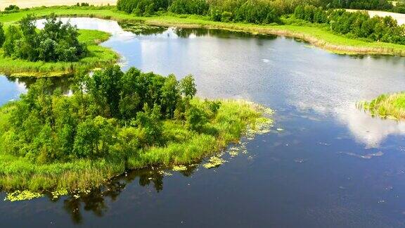 令人惊叹的绿色沼泽和蓝色池塘在夏天鸟瞰图