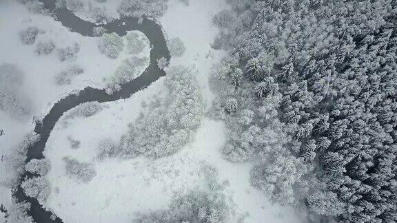 4k在云雾之上飞行在冰冻的森林中狂野蜿蜒的河流北方多雪的冬天航拍全景