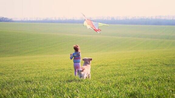 小女孩在野外放风筝