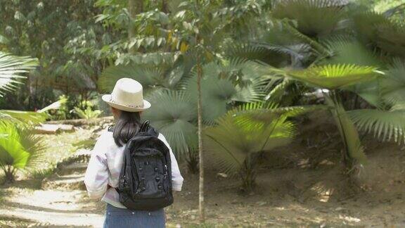 后视图亚洲女孩与背包行走在泰国热带自然公园