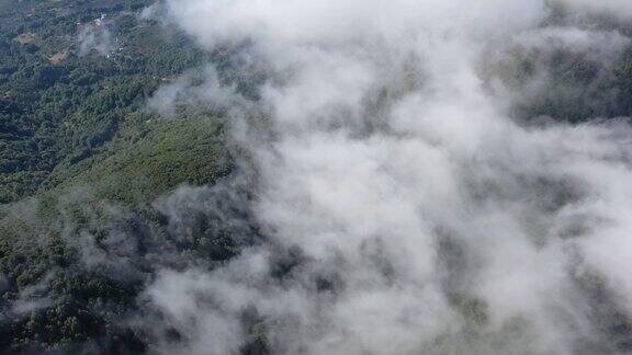 雾笼罩着山上的森林鸟瞰图