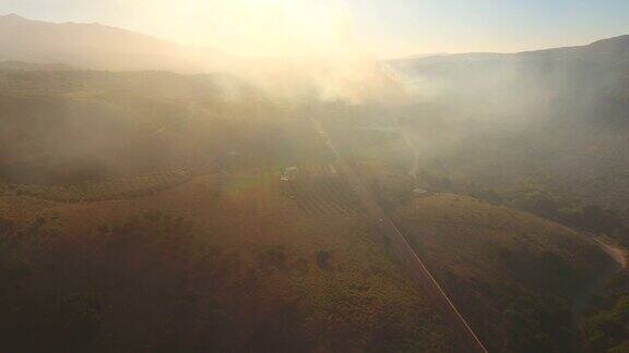 燃烧的树木克里特岛希腊山里的路空中无人机拍摄