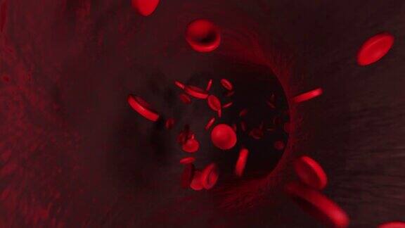 现实的动画红血球在动脉中在体内流动人体保健循环系统血液元素红细胞的3d渲染