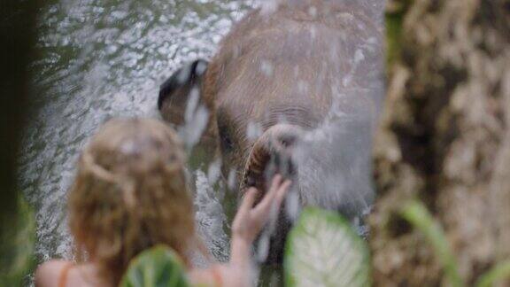 一个女人在动物园里和大象玩耍在热带森林保护区喷水享受异国情调的假期