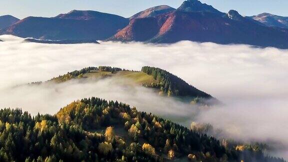 鸟瞰图的雾秋天森林在山区景观自然的时间流逝Hyper流逝