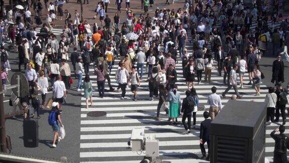 慢镜头拍摄的行人在涉谷十字路口东京日本