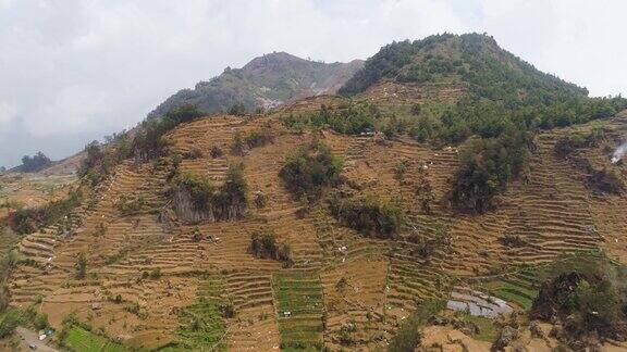 热带景观与农田在山区