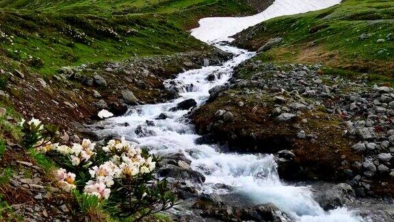 溪在青山花在高山雪山高加索地区