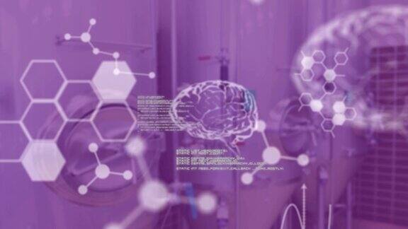 大脑图表数据和实验室设备