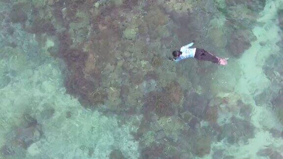 粉红色的海滩浮潜印度尼西亚的科莫多岛国家公园