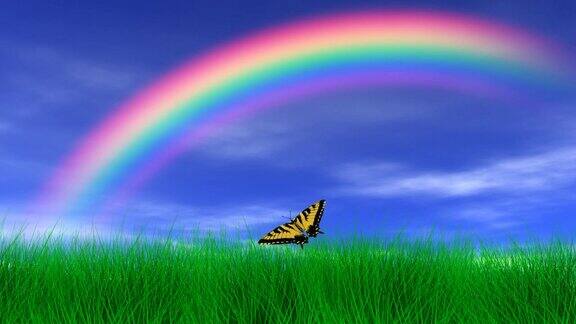 彩虹下的蝴蝶