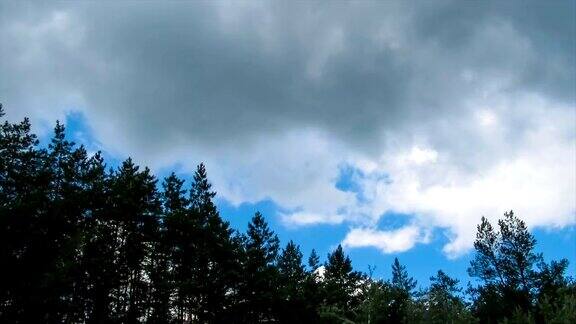 天空中的云在树的上方移动