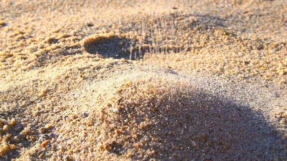 落在海滩上的沙粒