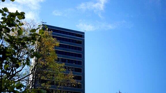 秋高气爽的下午高高的办公楼被秋树遮住了一部分